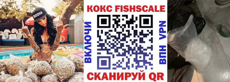 Купить закладки  Салаир  КОКАИН VHQ 