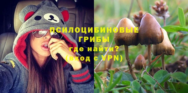 МДМА Богданович
