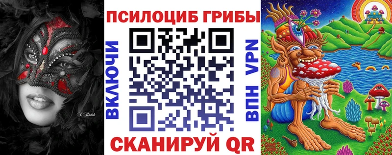 Галлюциногенные грибы прущие грибы  Купить  Салаир 