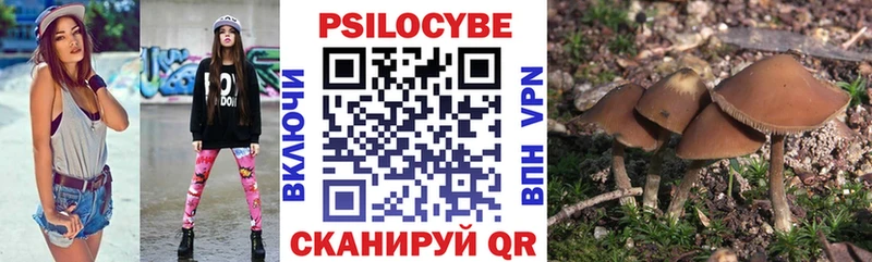 Галлюциногенные грибы MAGIC MUSHROOMS Салаир
